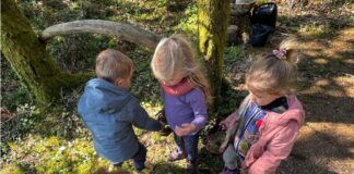 The Place of Nature in the Lives of Children Aged 3 to 7
