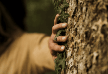 When the Earth Becomes Your Teacher Again