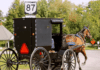 U.S. Supreme Court Smacks Down Lower Court in Major Win for Amish Families Fighting New York’s Draconian School Vaccine Mandates
