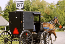 U.S. Supreme Court Smacks Down Lower Court in Major Win for Amish Families Fighting New York’s Draconian School Vaccine Mandates