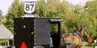 U.S. Supreme Court Smacks Down Lower Court in Major Win for Amish Families Fighting New York’s Draconian School Vaccine Mandates