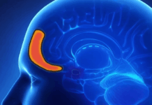 Gratitude is a Super Power