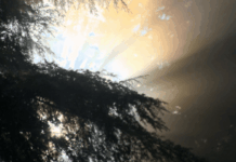 Neptune goes direct and relief begins to replace the old confusion