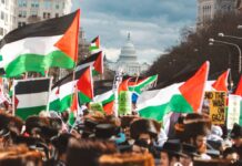 2025 saw the most significant political shift toward Palestinian rights in U.S. history