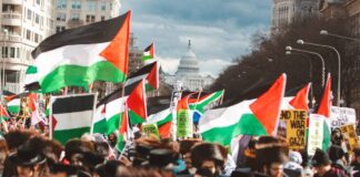 2025 saw the most significant political shift toward Palestinian rights in U.S. history