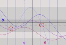 Cobra-25th January 2026-“Golden Planetary Timeline”(Conference in Sydney/Australia March 2026, Energies/Astrology, Meditation, Timeline…)