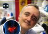 Scientists achieve pancreatic tumour regression in breakthrough study