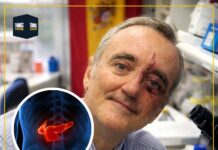 Scientists achieve pancreatic tumour regression in breakthrough study