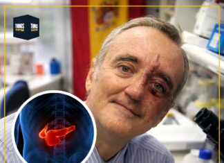 Scientists achieve pancreatic tumour regression in breakthrough study