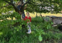 The Nature-Deficit Syndrome