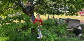 The Nature-Deficit Syndrome