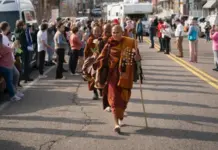 Coherence in Motion: Walking the Path to Peace