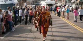 Coherence in Motion: Walking the Path to Peace