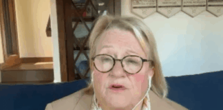 Catherine Austin Fitts Provides Bombshell Testimony in the Netherlands Case Exposing Govt and Wall Street Fraud