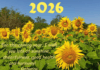 Reading: Natural Solar New Year