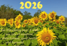Reading: Natural Solar New Year