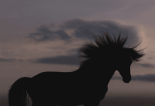 Stop Trying to Figure Out the How