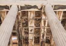 I’ve Been a Public School Teacher for 20 Years. Trust Me: Homeschool Your Kids