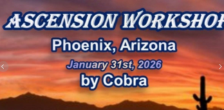 OFFICIAL NOTES: Ascension Workshop By Cobra in Phoenix USA January 2026( Disclosure, New Earth Key, Operation Dreamland, Islands of Light, Timelines, Conference/Workshop in Sydney/Brisbane Australia March 2026, Vortex/Energies, Tachyon Chambers, planetary Situation…)