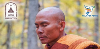 Walk For Peace Global Meditation, Wed. Feb 11, 2026