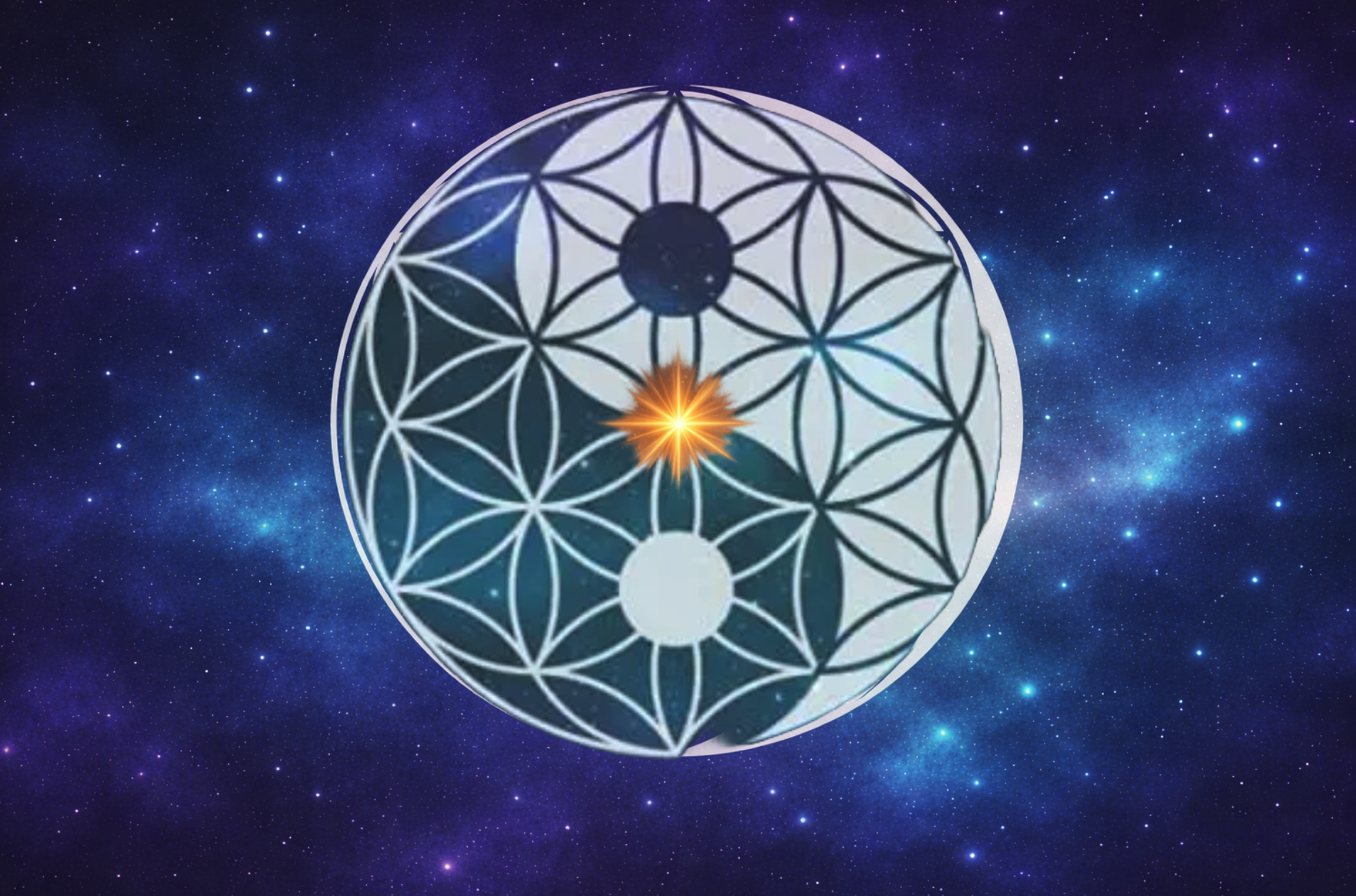 Screenshot 2026-02-14 at 11.08.41 PM