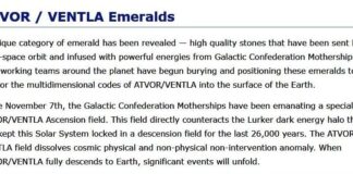 Cobra-22nd February 2026-“Situation Update”(Phoenix Workshop Notes, Interview Cobra/Benjamin Fulford, UFO Disclosure, Epstein files/Mass Arrests, Mystery Schools+Books, ATVOR/VENTLA Emeralds, Golden Timeline meditation, Astrology/Energies…)