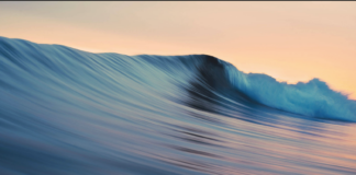 The Still Point in the Waves of Time