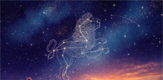 Spring: The Resurrection of a New World