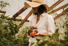 When We Stopped Knowing How to Listen to Plants