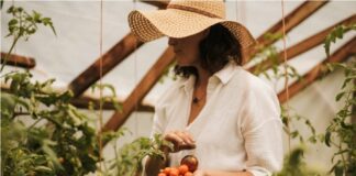 When We Stopped Knowing How to Listen to Plants