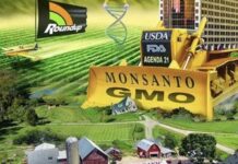 Thomas Massie Says Bayer/ Monsanto Has Our Country ‘Under Siege’ as It Seeks Protection from Lawsuits