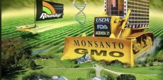 Thomas Massie Says Bayer/ Monsanto Has Our Country ‘Under Siege’ as It Seeks Protection from Lawsuits