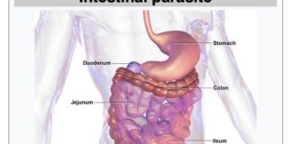 CIA Faces Furious Backlash for Hiding Russian Document Containing Potential Cure for Cancer for 60 Years