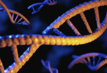 Experts unpack the promise and pitfalls of genetic tests aimed at consumers