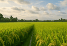 Who Needs Glyphosate?