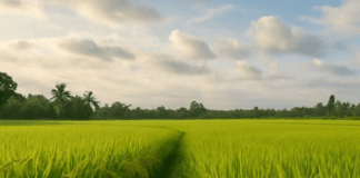 Who Needs Glyphosate?