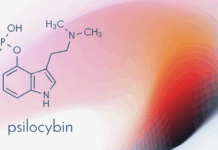 Psilocybin Increases Cellular Lifespan and Boosts Survival in Aged Mice