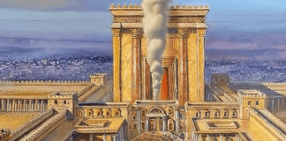 35 Acres and the Scofield Bible