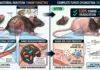 NEW STUDY: Frog-Derived Gut Bacterium Completely Eradicates 100% of Tumors After a Single Dose in Mice