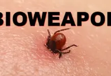 Newly Released JFK Files Reveal Pentagon’s Role In Creating Lyme Disease And COVID In The Same Lab