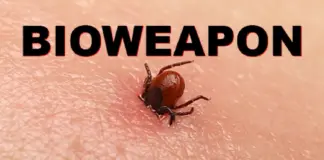 Newly Released JFK Files Reveal Pentagon’s Role In Creating Lyme Disease And COVID In The Same Lab