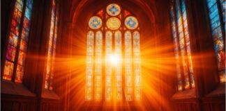 Light and Illumination: More Than a Bright Idea