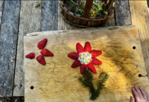 When Did We Stop Letting Children Meet the Earth?