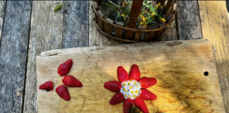 When Did We Stop Letting Children Meet the Earth?