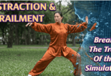Distraction: Greatest Weapon of the Architect That’s Derailing Souls