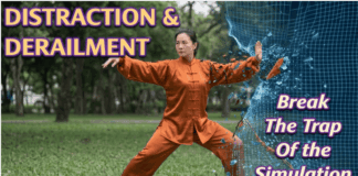 Distraction: Greatest Weapon of the Architect That’s Derailing Souls