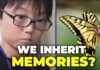 The Butterfly Blueprint: How a 10-Year-Old Shook the World of Entomology