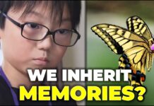 The Butterfly Blueprint: How a 10-Year-Old Shook the World of Entomology