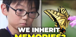 The Butterfly Blueprint: How a 10-Year-Old Shook the World of Entomology