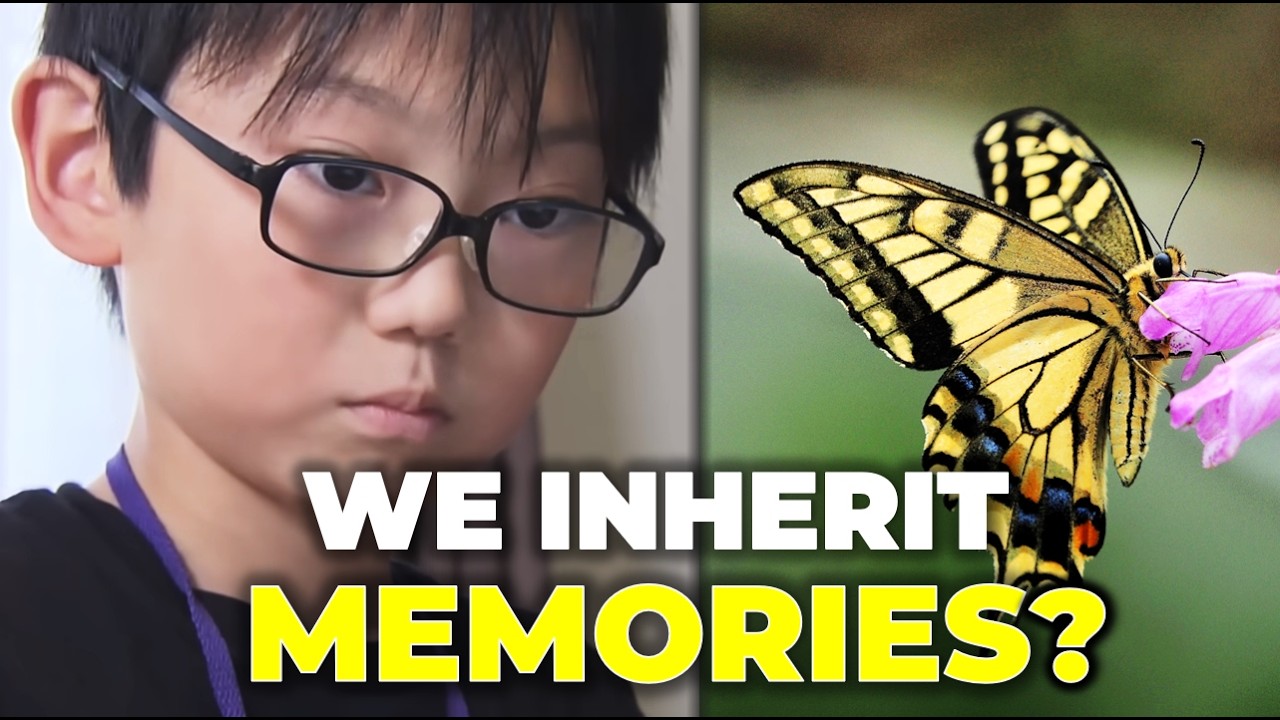 inherit-memories-butterfly-study